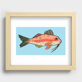 Goatfish on Blue Recessed Framed Print