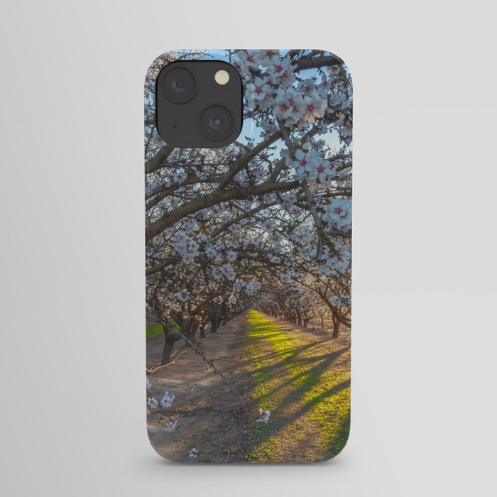 Blossoms Morning iPhone Case