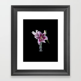  Pretty purple Lily in a Vase.  Framed Art Print