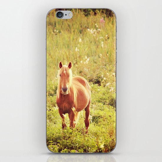 All the Pretty Horses iPhone & iPod Skin