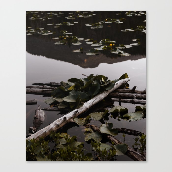 The Many Reflections Canvas Print