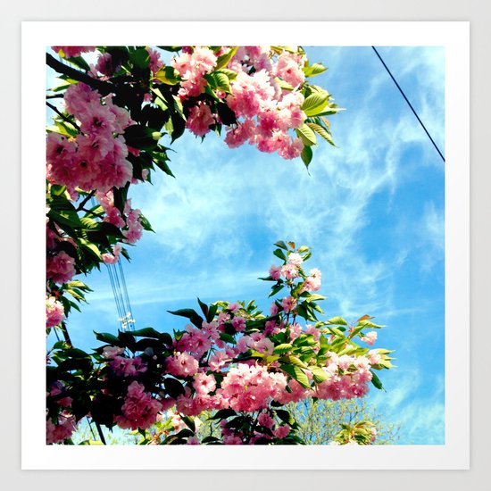 Nature 4 Art Print