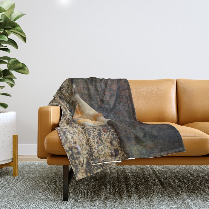 Fennec shop fox blanket