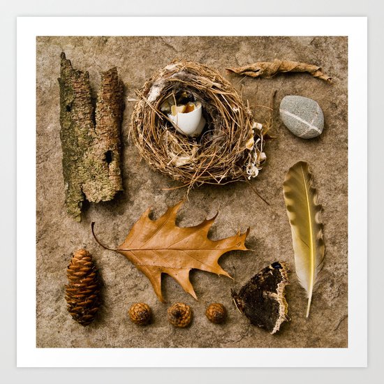 'NEST' Art Print