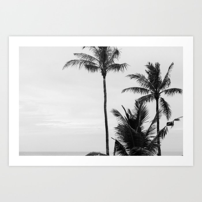 Bali Rice Fields and Palm Trees || Indonesia, Travel Photography, Art Print Art Print