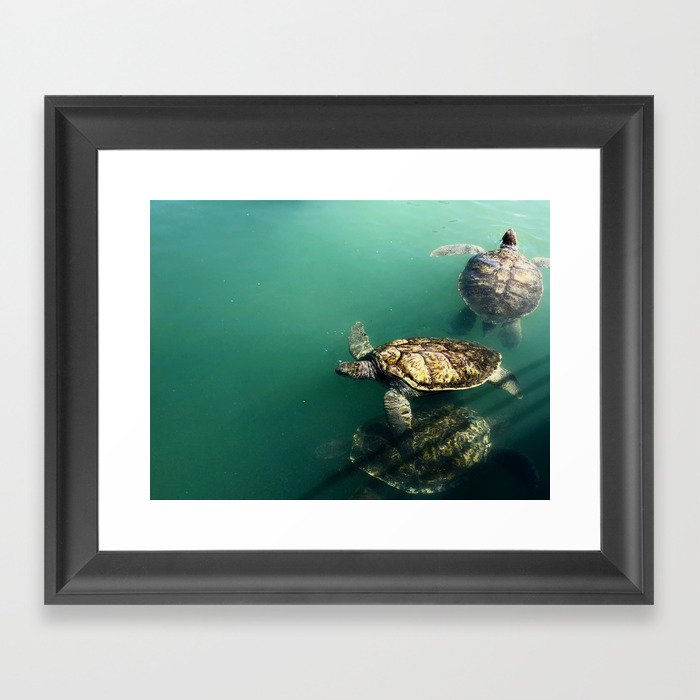 turtles Framed Art Print