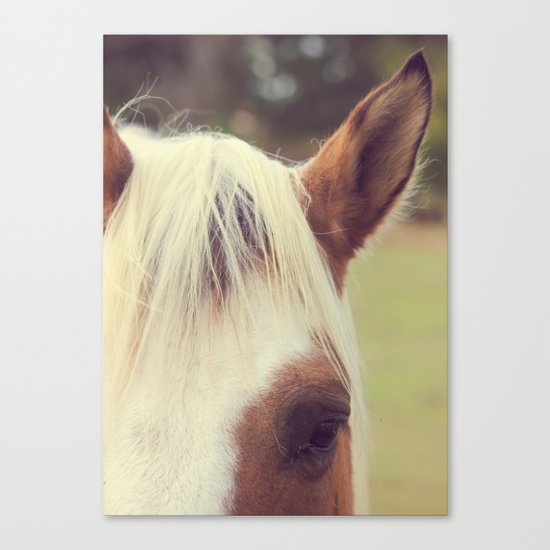 Listen Up Canvas Print