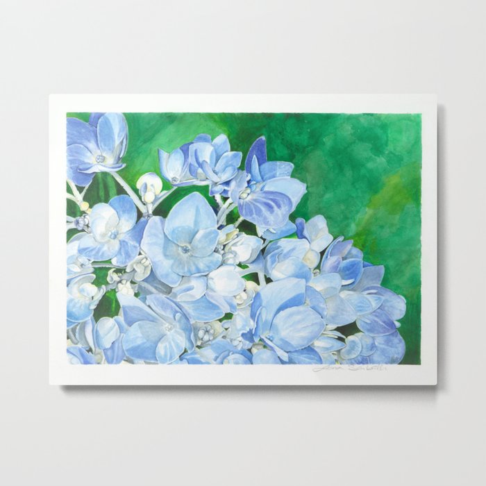 Watercolor Hydrangea Blossoms Metal Print