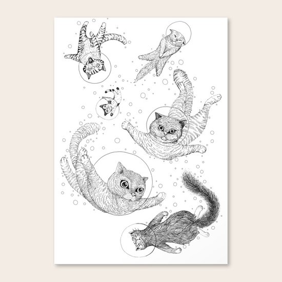 Cat Canvas Print