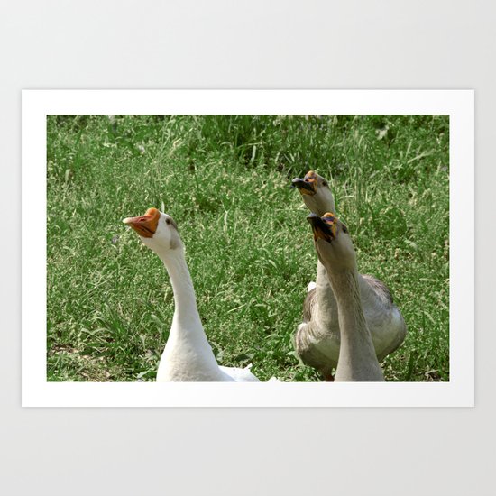Three Little Peckerheads Art Print