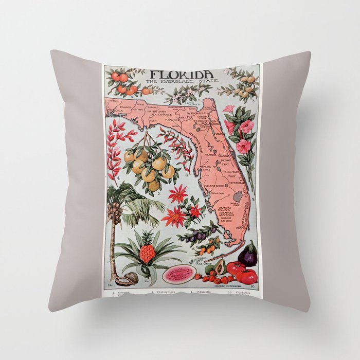 Throw Pillow