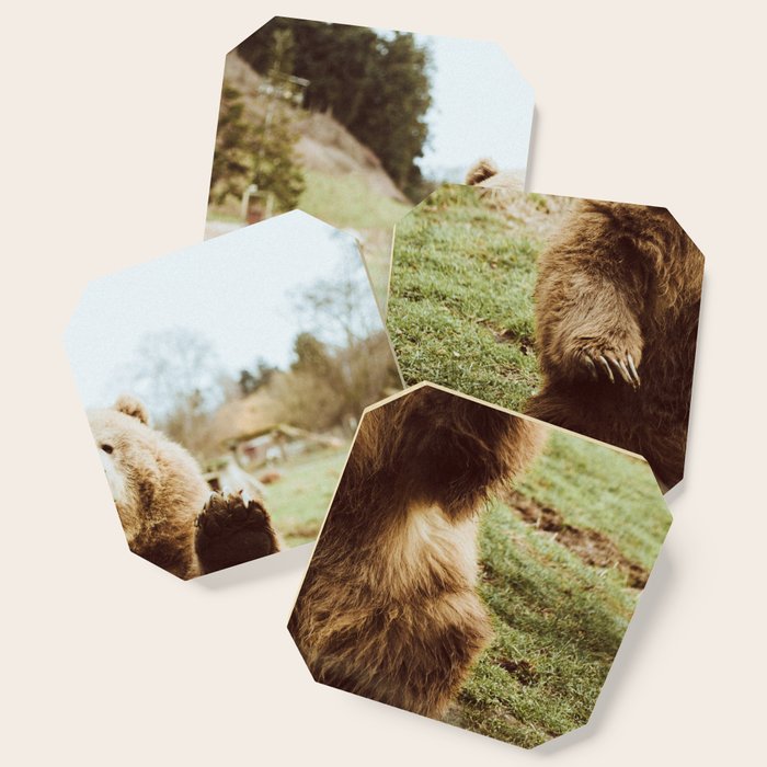 Hi Bear Art Print by beccatapert | Society6