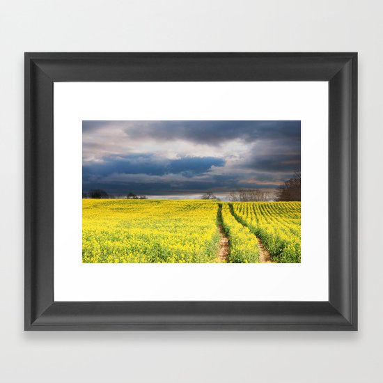 Rapeseed in the Spring Framed Art Print