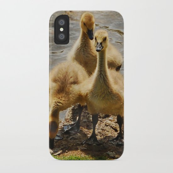 Birds iPhone Case
