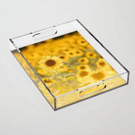 field of sunflowers3854714 Acrylic Tray