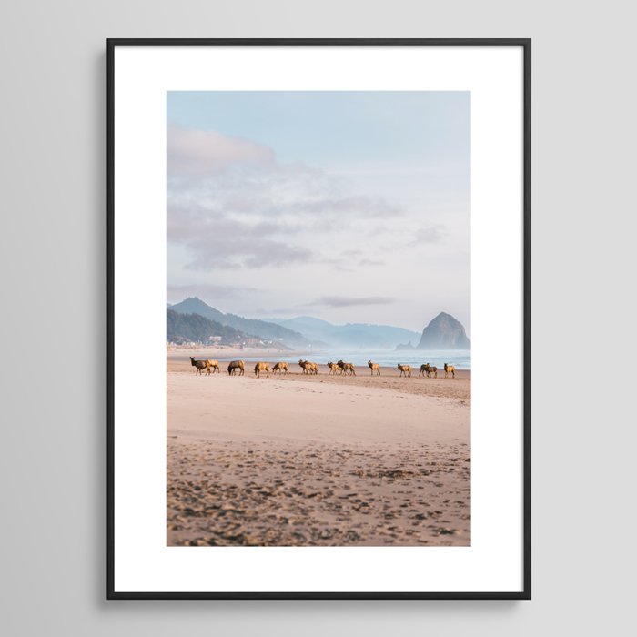 Cannon Beach Elk Framed Art Print
