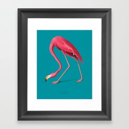 Vintage Pink Flamingo  Framed Art Print