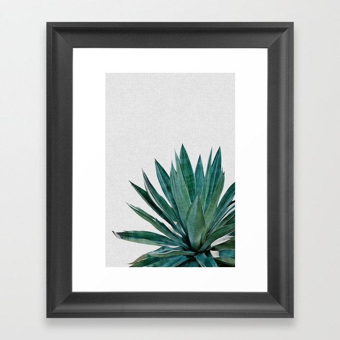 Agave Cactus Framed Art Print
