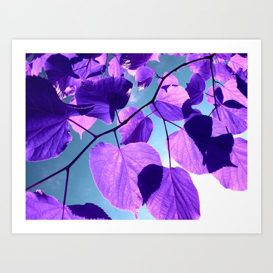 purple lime leaves I Art Print