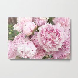 Pink Shabby Chic Peonies - Garden Peony Flowers Wall Prints Home Decor Metal Print
