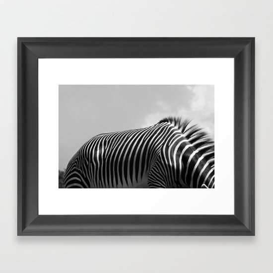 Zebra Framed Art Print