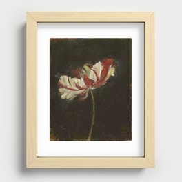 Flaming Red and White Parrot Tulip Recessed Framed Print