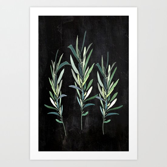 Eucalyptus Branches On Chalkboard Art Print