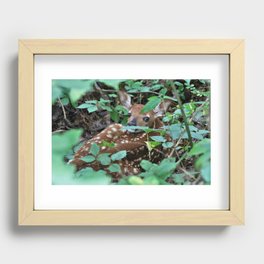 Spotted! Recessed Framed Print