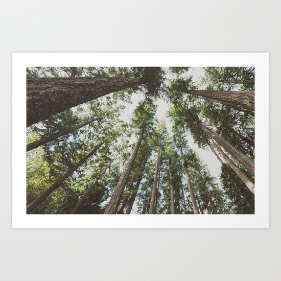 Higher Art Print