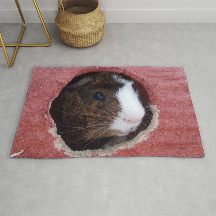 Mister Guinea Pig Rug by quinn.mckayla Society6