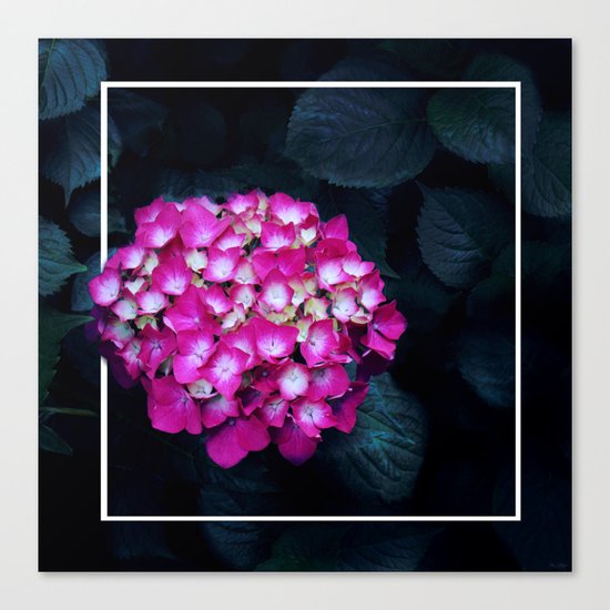 Boastful Vanity Canvas Print