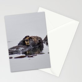 Shy Sea Otter Stationery Cards