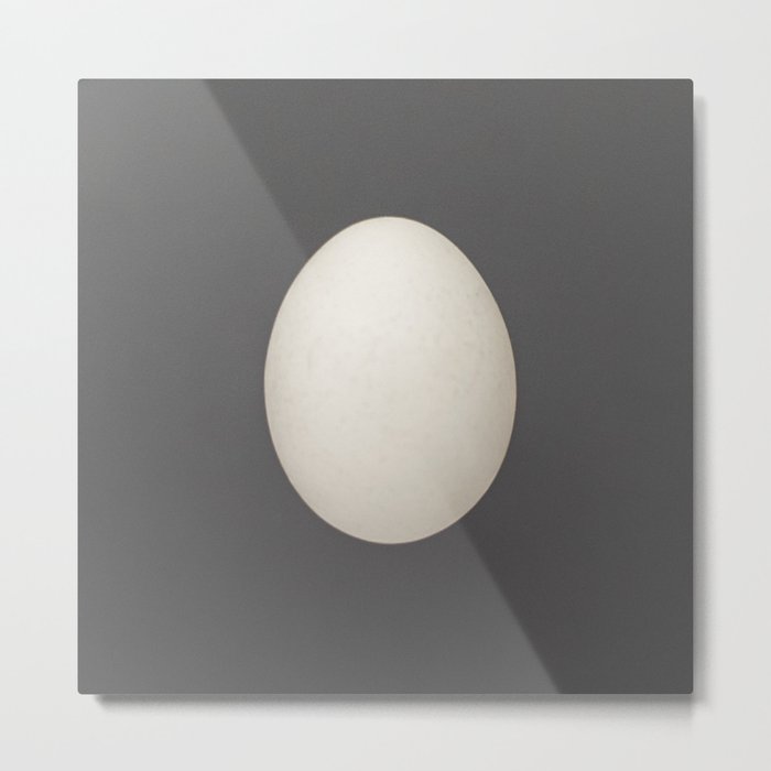 white egg Metal Print