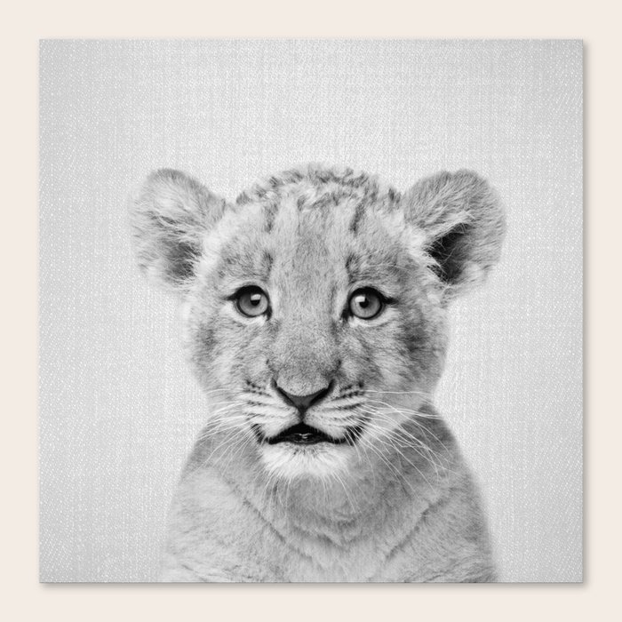Baby Lion Black White Canvas Print By Galdesign Society6 8x12 up to 40x60 ready to hang custom sizes available, please contact african lion, black and white blue eyes lion canvas print, ready to hang lion wall art, lion wall art, wall art, lion canvas, large canvas *.
