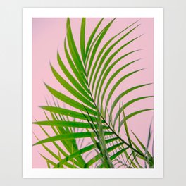 Simple palm leaves paradise in pink Art Print