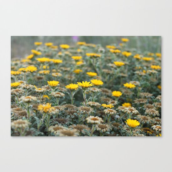Scars Of Humanity Canvas Print