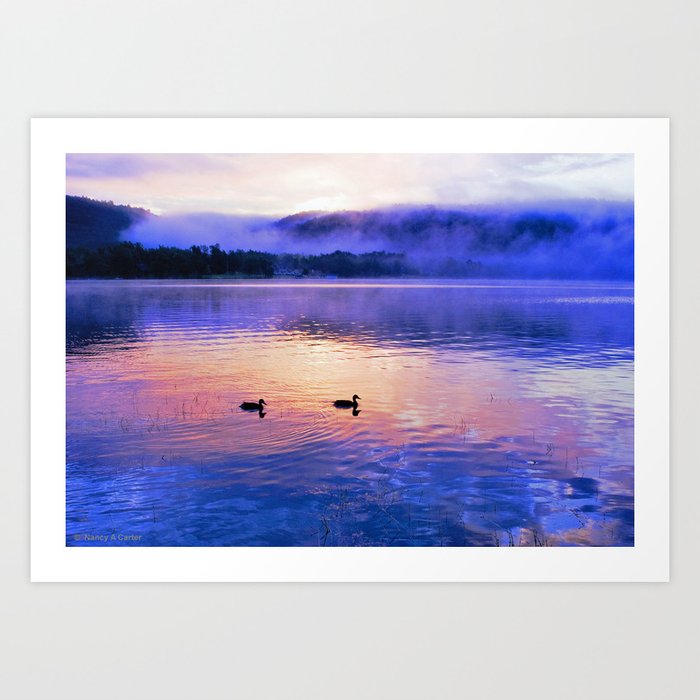 Morning Meditation: Mallard Ducks at Sunrise Art Print