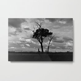 Two Trees Metal Print