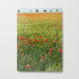 Field of Poppies Metal Print | Flowerfield, Mohn, Mohnblumen, Poppies, Poppy, Blumen, Felder, Mohnblumenfeld, Landscape, Photo 