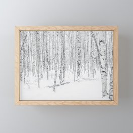 Swedish Birch Trees Framed Mini Art Print