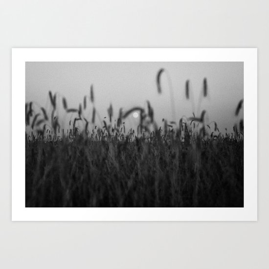 THE MOON Art Print