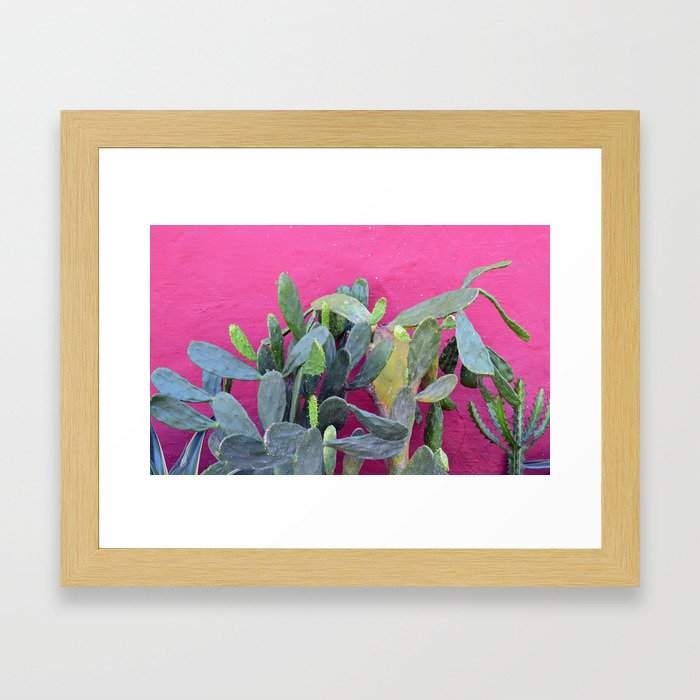 cactus i. colombia. Framed Art Print
