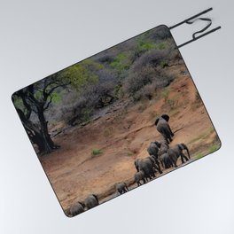 South Africa Photography - A Herd Of Elephants Picnic Blanket