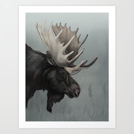 Misty Morning Moose  Art Print