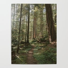 Wonderland Forest Trail Poster