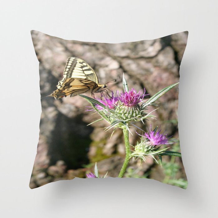 Scarce Swallowtail Butterfly and Thistle Throw Pillow