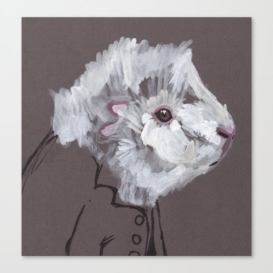 Mr Fluff Canvas Print