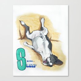 S is for Sleep Canvas Print