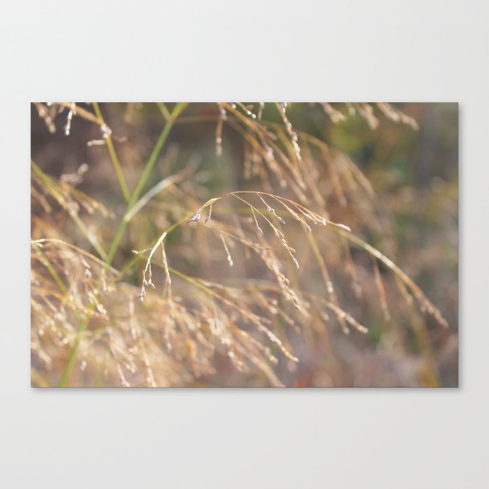 In the Wind Canvas Print
