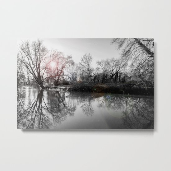 TREE-FLECTION Metal Print